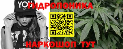 твердый Гай