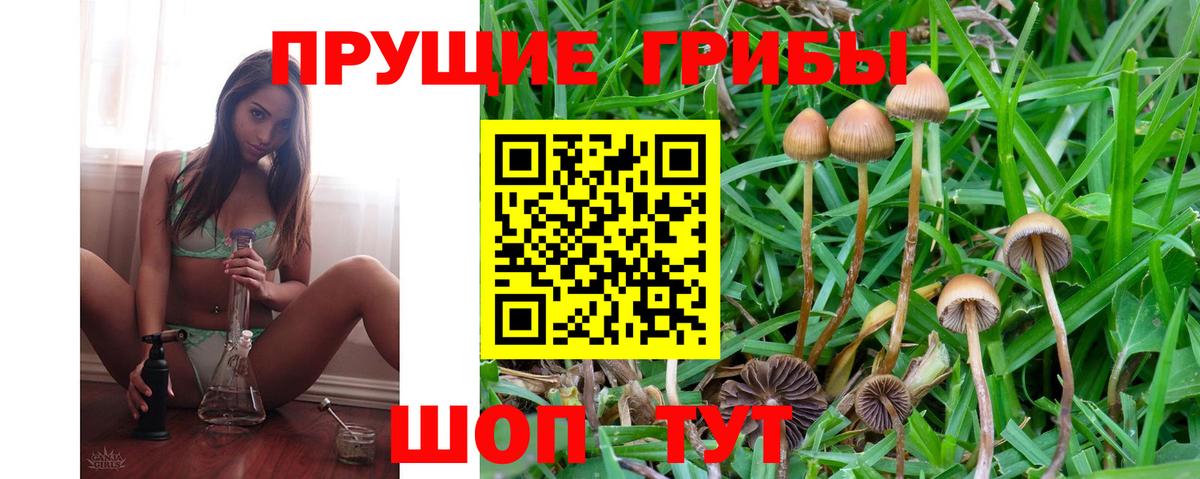 Псилоцибиновые грибы GOLDEN TEACHER Муравленко