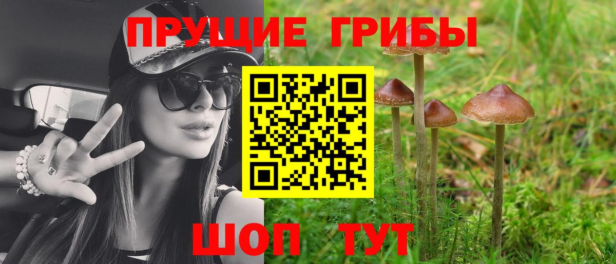 Галлюциногенные грибы Magic Shrooms  Вход с VPN  Муравленко 